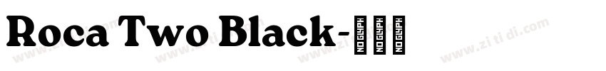 Roca Two Black字体转换